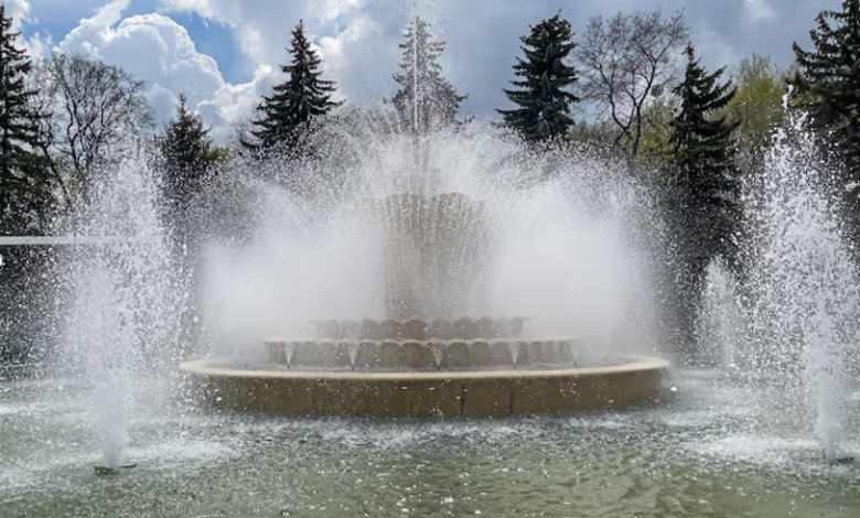 Fountain Pumps vs. Aerator Pumps: Which Does Your Pond Need?