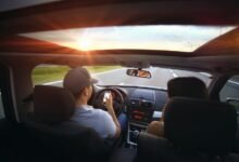 community safety insights 9365040048 activity