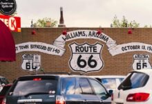 progressive business route growth