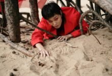 sigma connect point fusion outreach