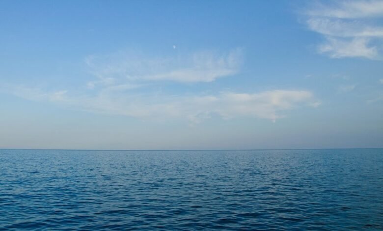 xpert horizon digital expansion model