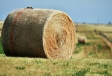 zenith node 756100441 expansion