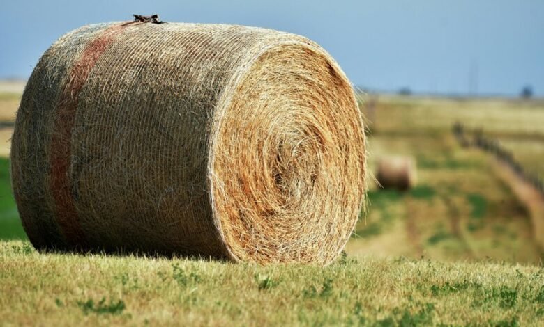 zenith node 756100441 expansion